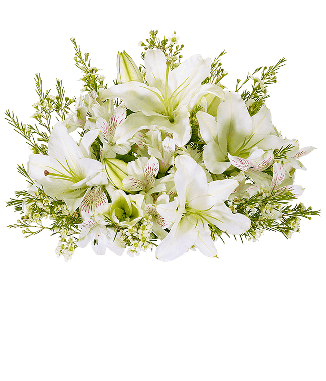 White lilies, white alstroemeria and white wax flowers